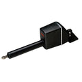 Raymarine Type 1 Linear Drive  12V M81130