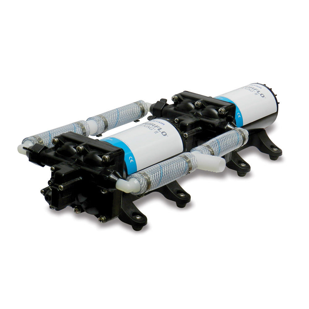 Shurflo by Pentair High Flow Dual Pump System  24 VDC 100 GPM 4558163E75